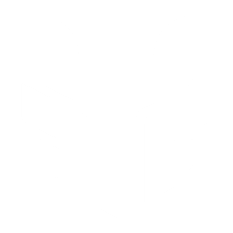 FTI wolf mark